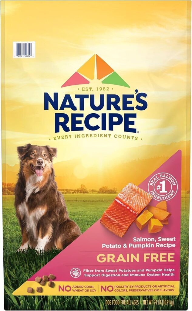 best dog food for poodles