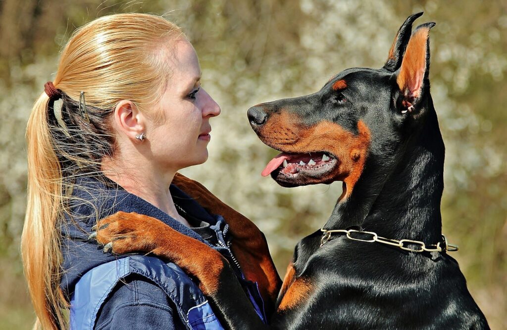 best dog food for dobermans