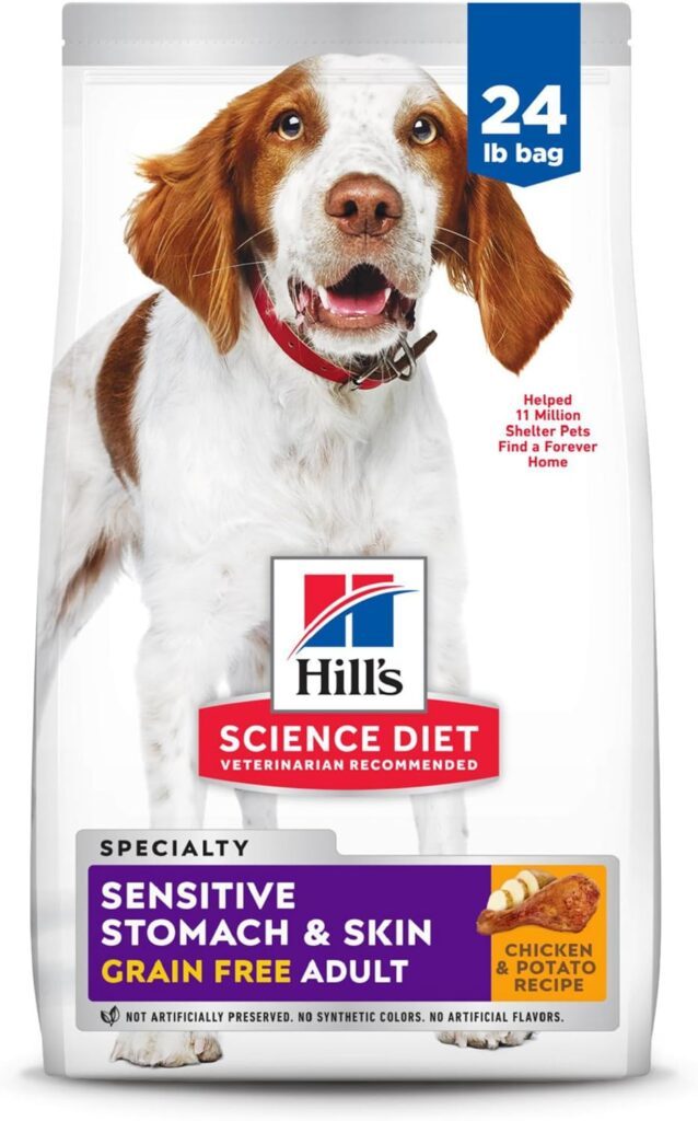 best skin allergy dog food