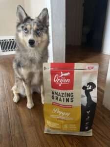 Best Dry Dog Food For Huskies in the usa